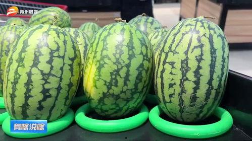 潍坊吃瓜网红有哪些,潍坊网红吃瓜达人盘点 第2张 潍坊吃瓜网红有哪些,潍坊网红吃瓜达人盘点 第2张